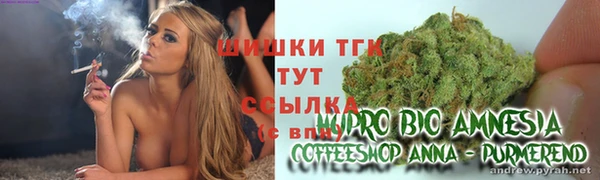 молекула духа Аркадак