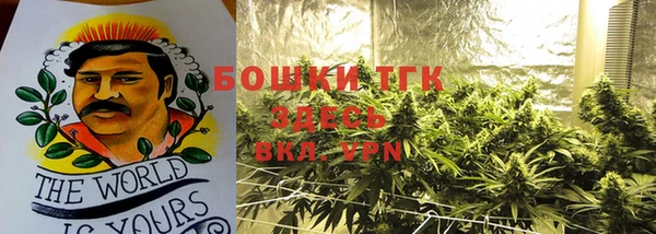 молекула духа Аркадак