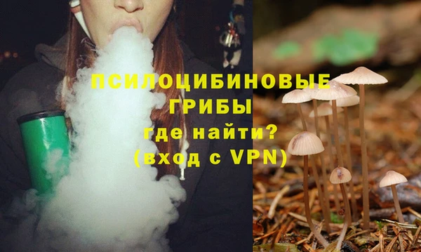 молекула духа Аркадак