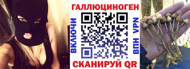 Галлюциногенные грибы Magic Shrooms наркота Бугуруслан